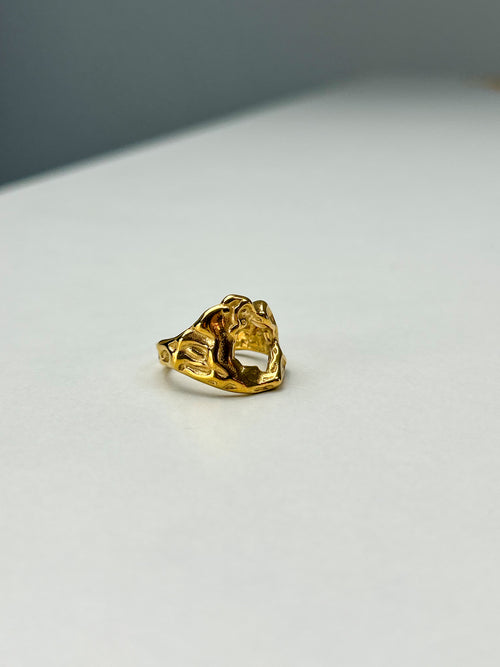 Anillo Aro